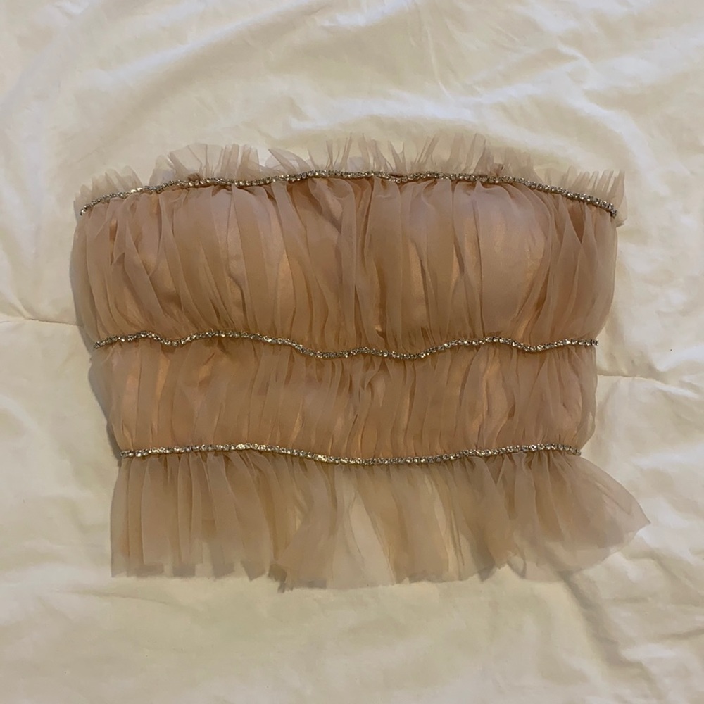 NWT Tulle Strapless Crop Top